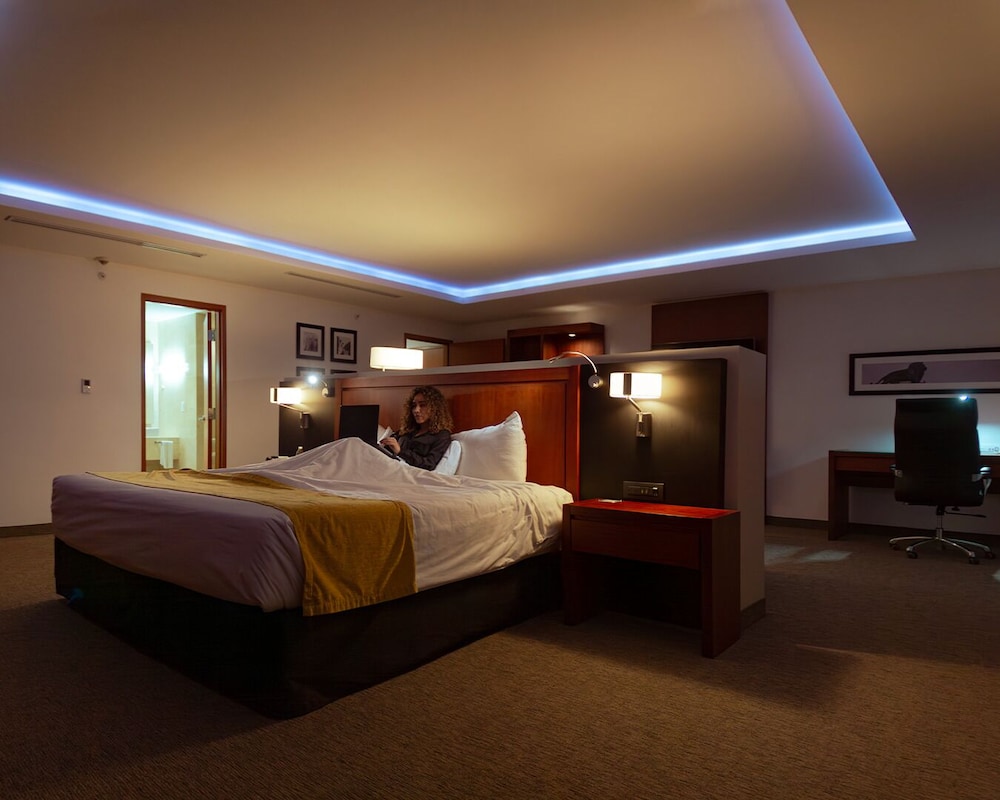Upgrade, Suite, King Bed
