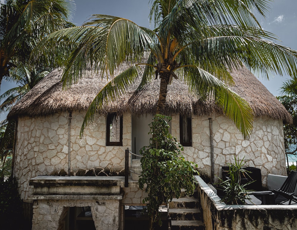 NEST Tulum 3/50