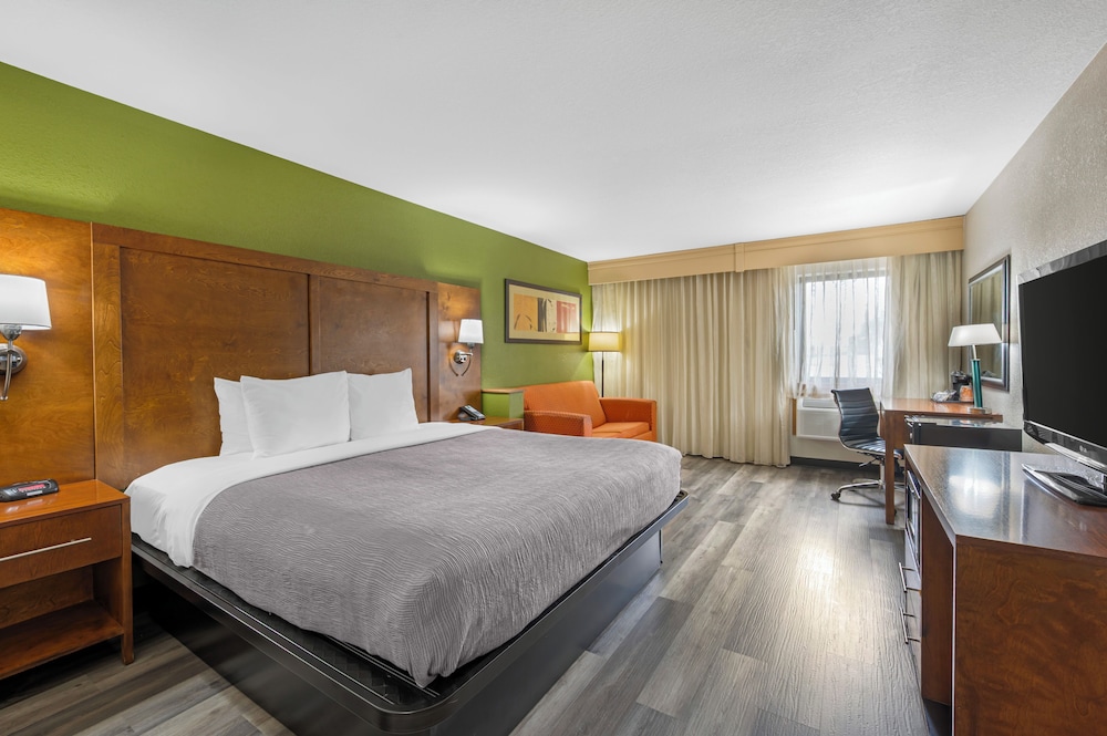 Upgrade, King Bed