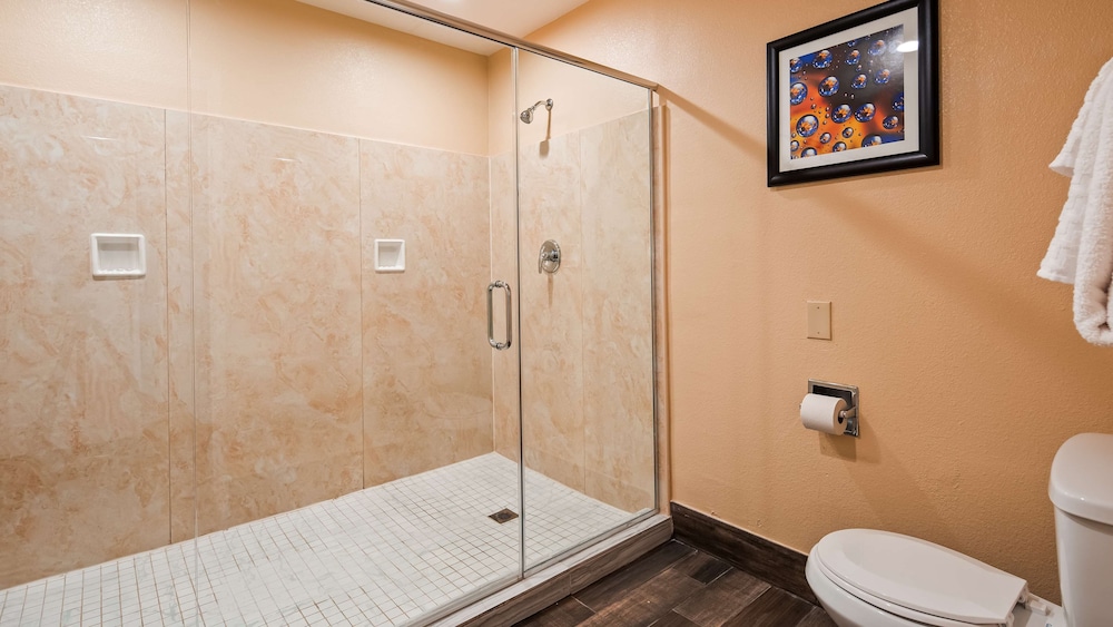 Best Western Plus Heritage Inn 13/44