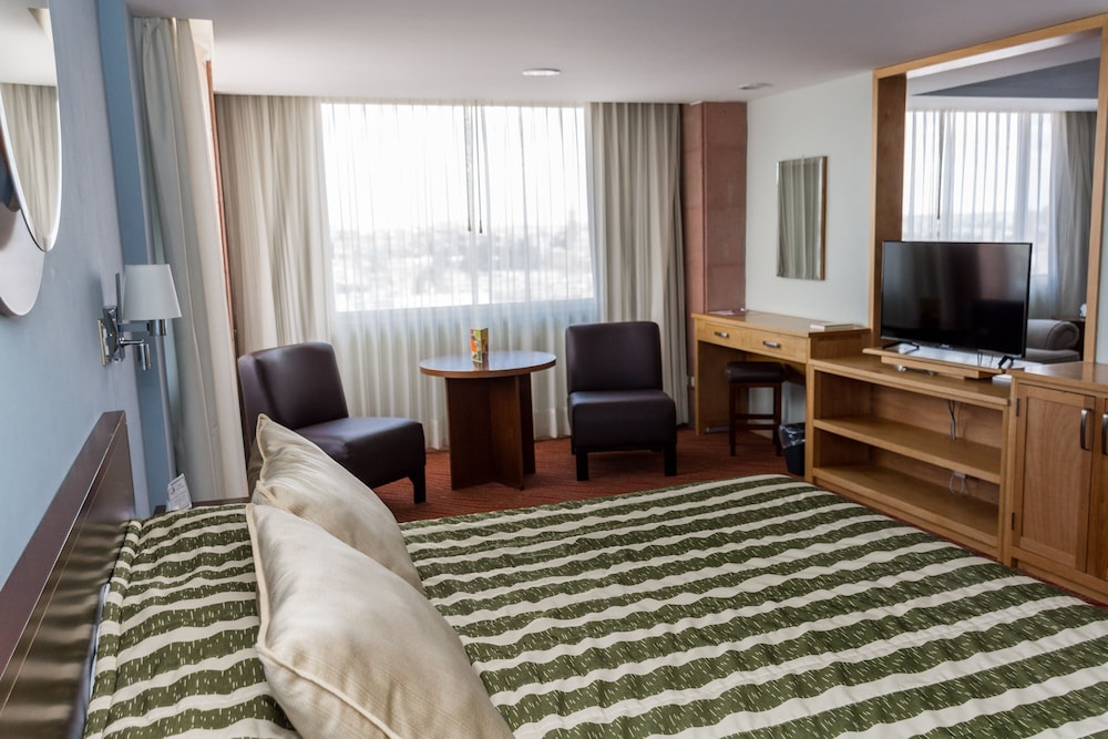 Hotel Real Plaza Aguascalientes 8/71