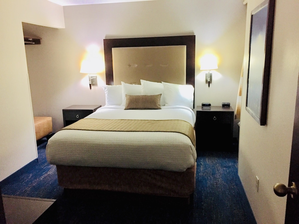 Suite, Queen Bed