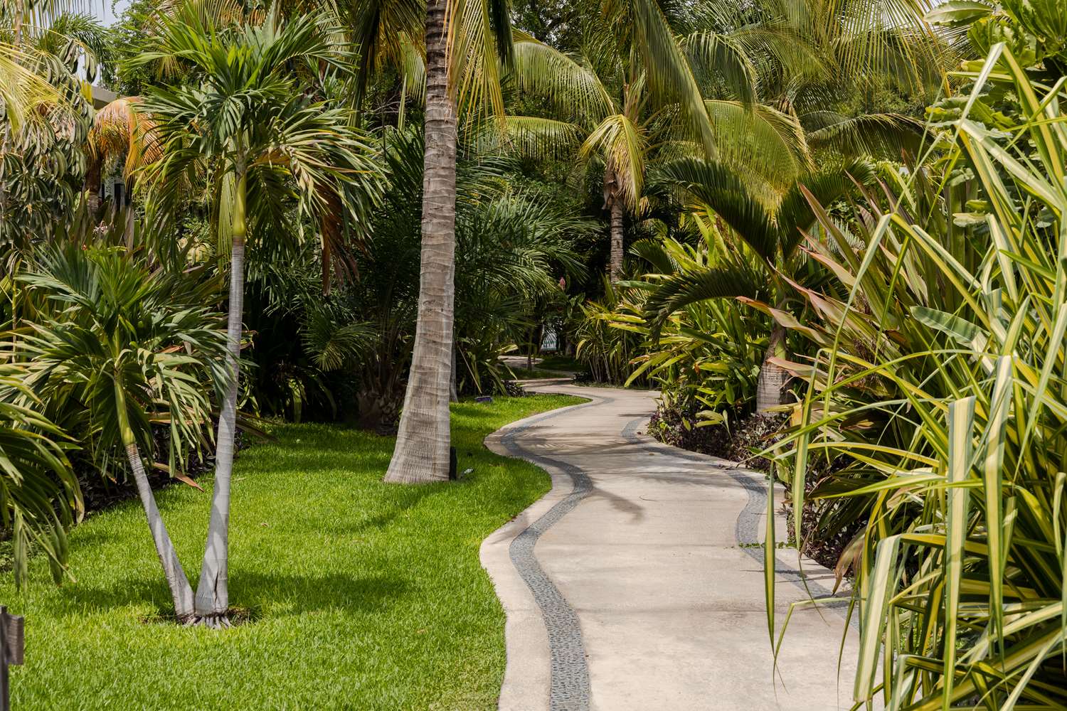 Soul Spring Sanctuary Cuernavaca, WorldHotels Luxury 29/35