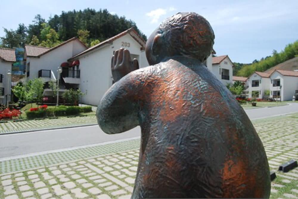 Damyang Meta Pension 25/35