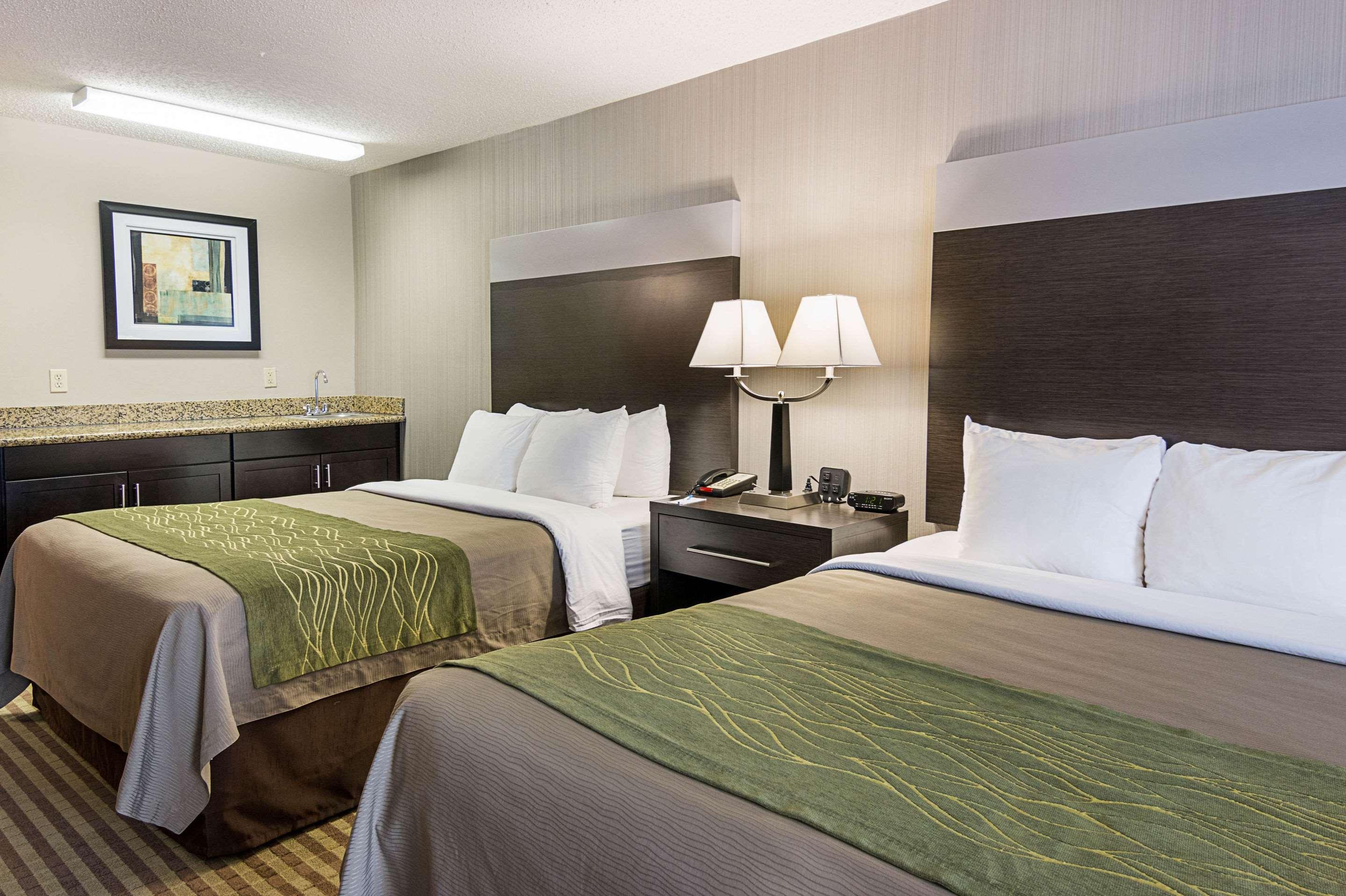 Upgrade, Suite, 2 Queen Beds