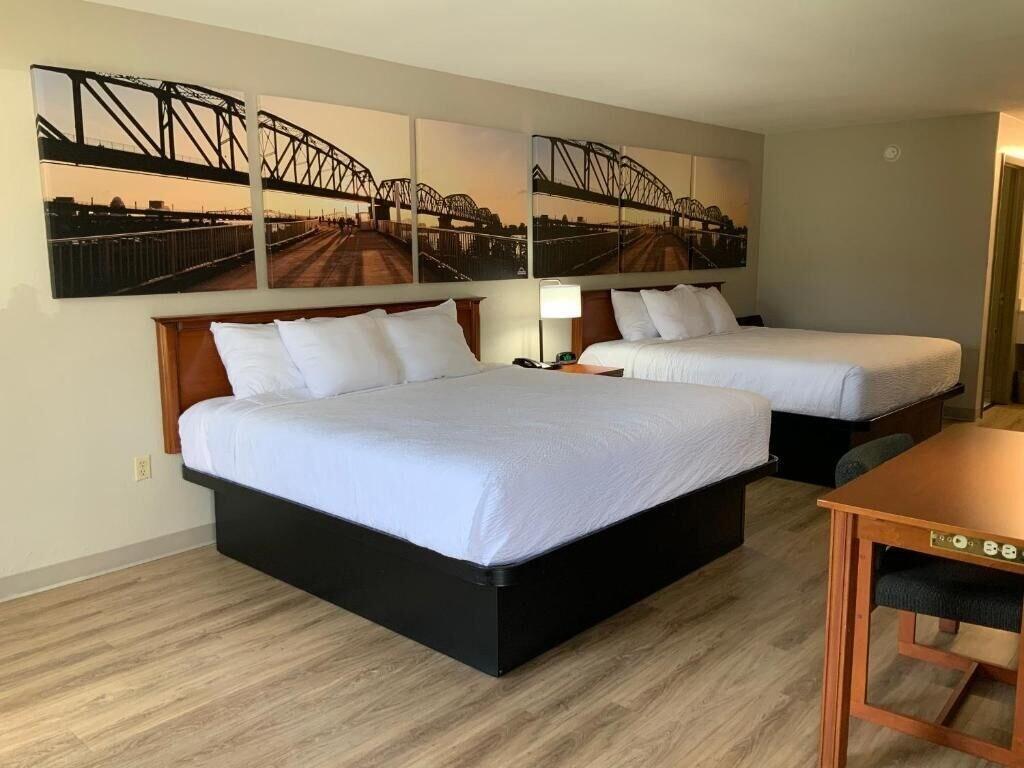 Studio, Suite, Multiple Beds