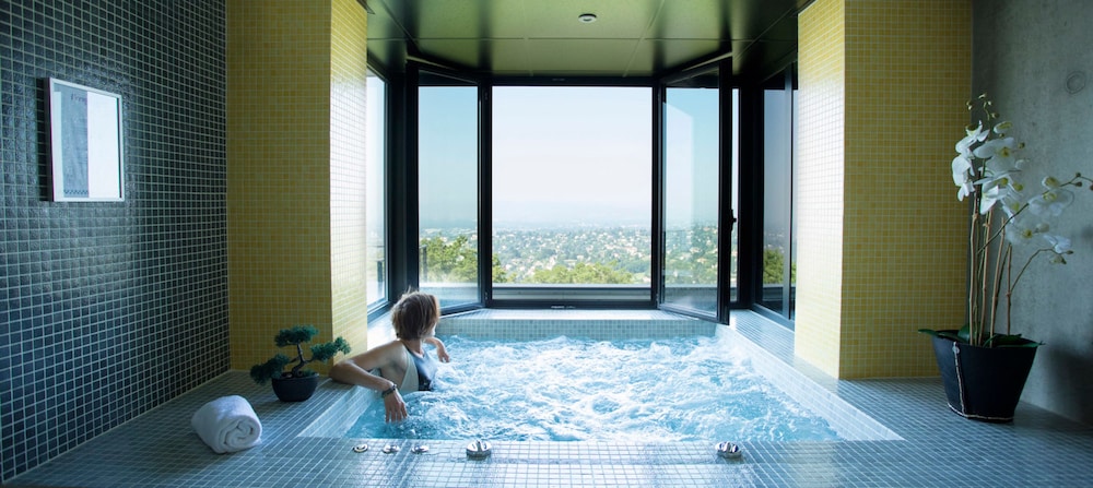 swimming pool spa