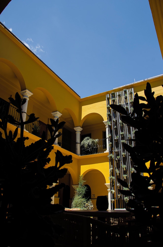 Casona Oaxaca 2/44