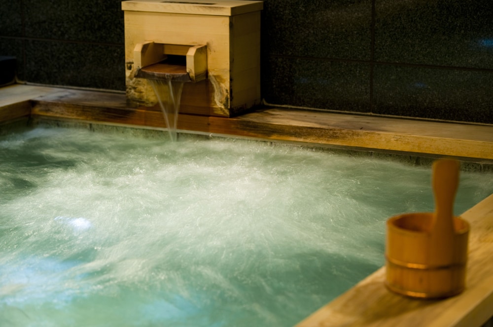 Ochanomizu Hotel Shoryukan 29/54