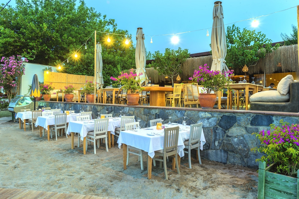 Faros Bodrum Golturkbuku 28/50
