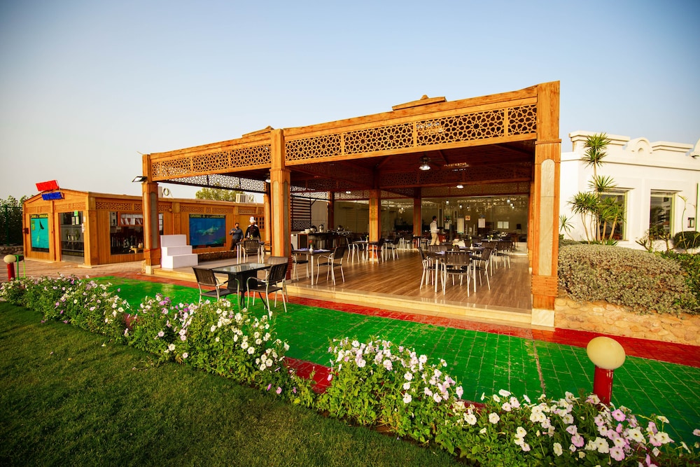 Old Vic Sharm El Sheikh 11/53