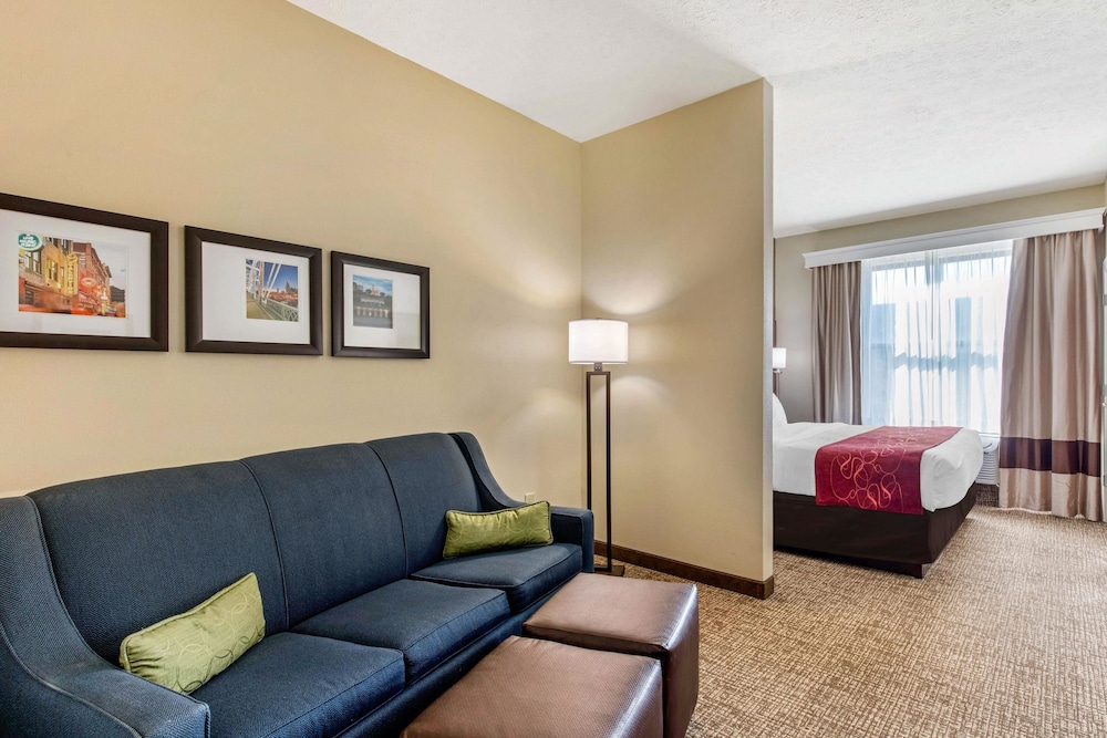 Comfort Suites Nashville 29/46