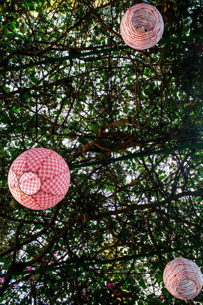 Eco Hostel Floreale 22/50