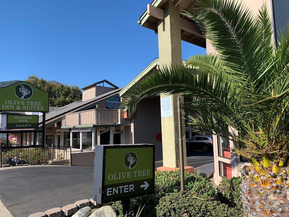 华美达圣路易斯-奥比斯波酒店(Olive Tree Inn and Suites San Luis Obispo) 图片5