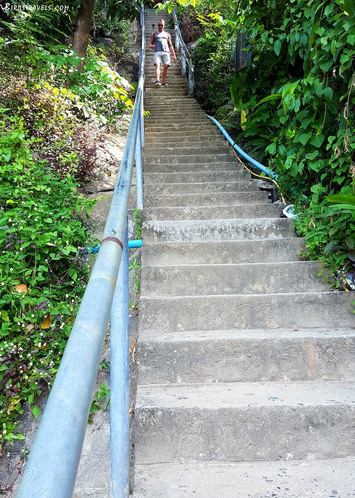 PHI PHI ARBOREAL RESORT 46/50