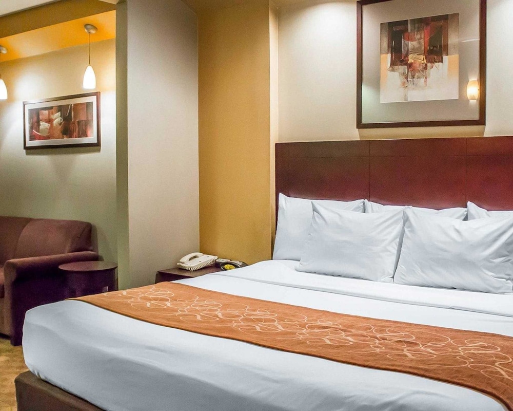 Comfort Suites Perrysburg - Toledo South 9/49