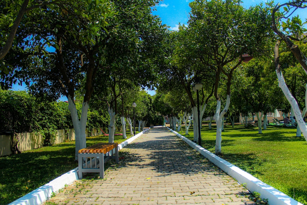 surroundings