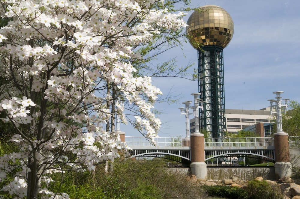 The Tennessean Personal Luxury Hotel 54/57