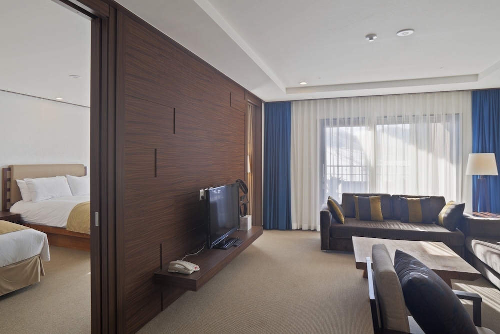 Holiday Inn Resort Alpensia Pyeongchang 45/73