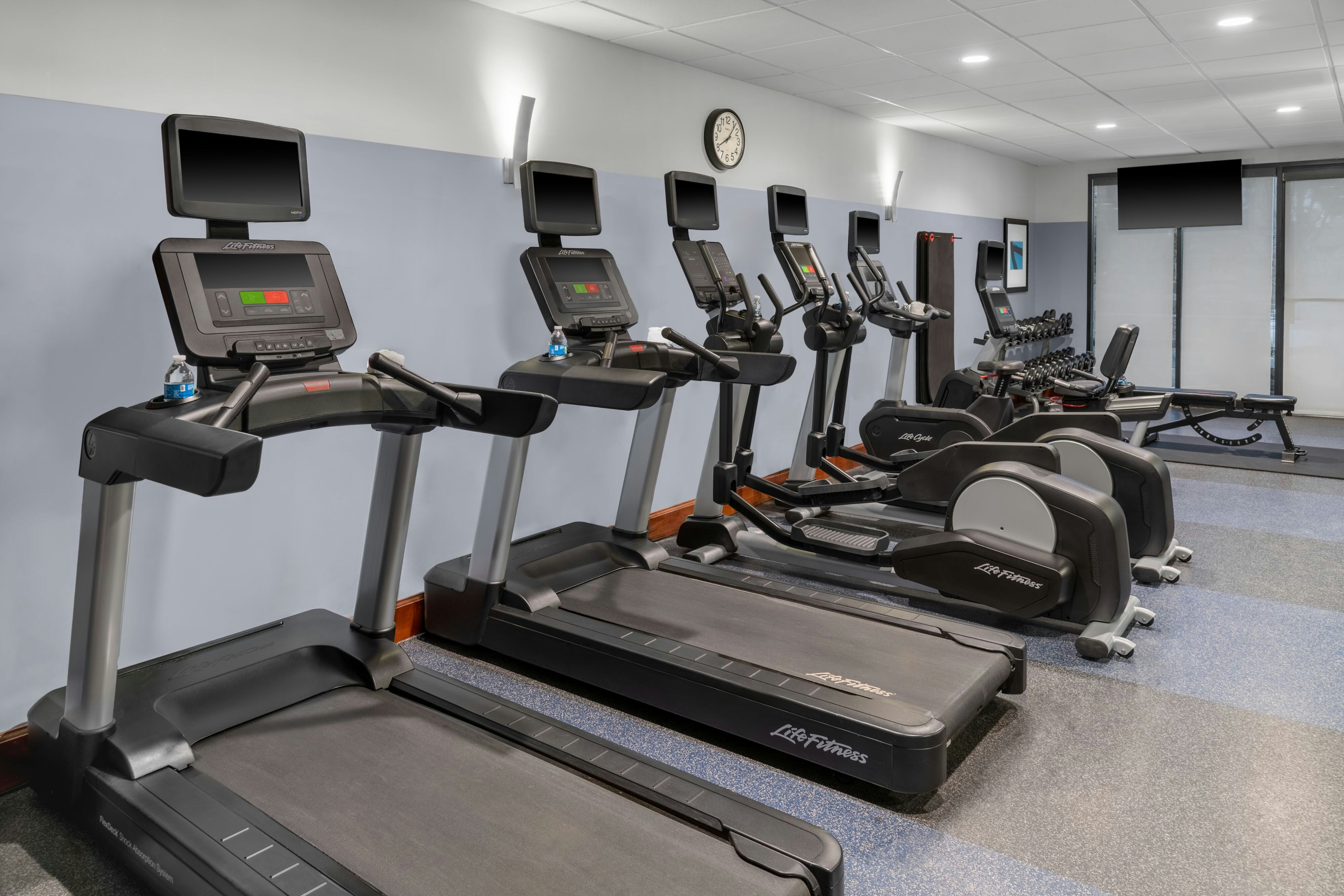 Four Points By Sheraton Orlando International Drive 19/55