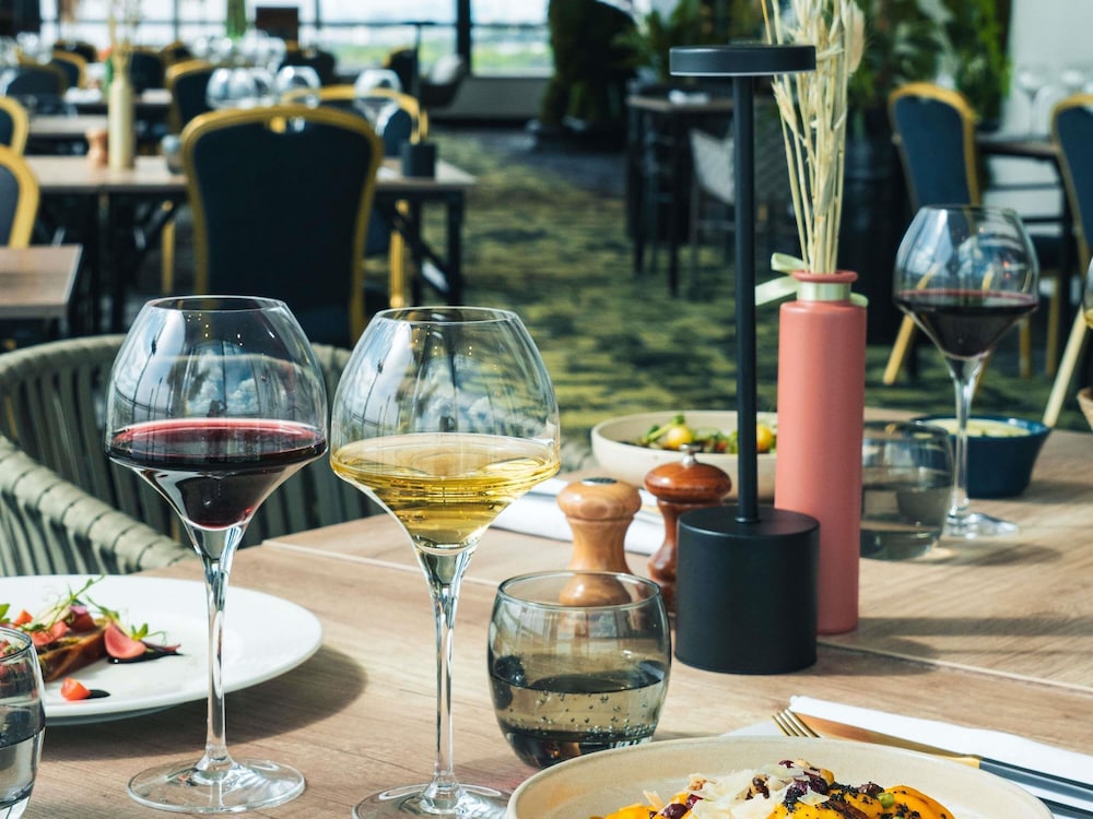 MERCURE PARIS ORLY RUNGIS 34/71