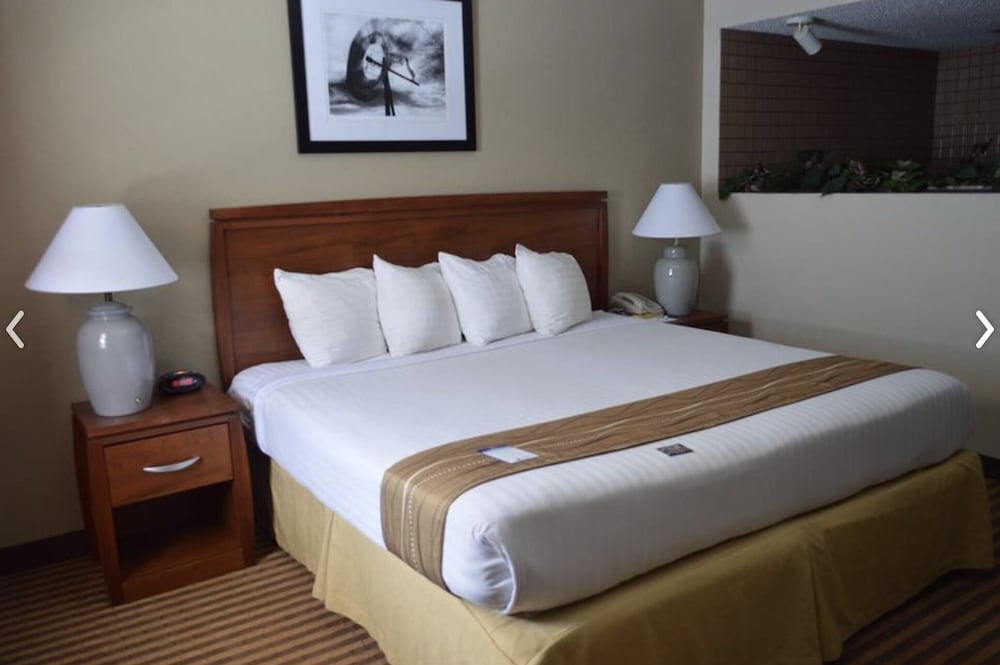 Eleven Boutique Hotel 12/28