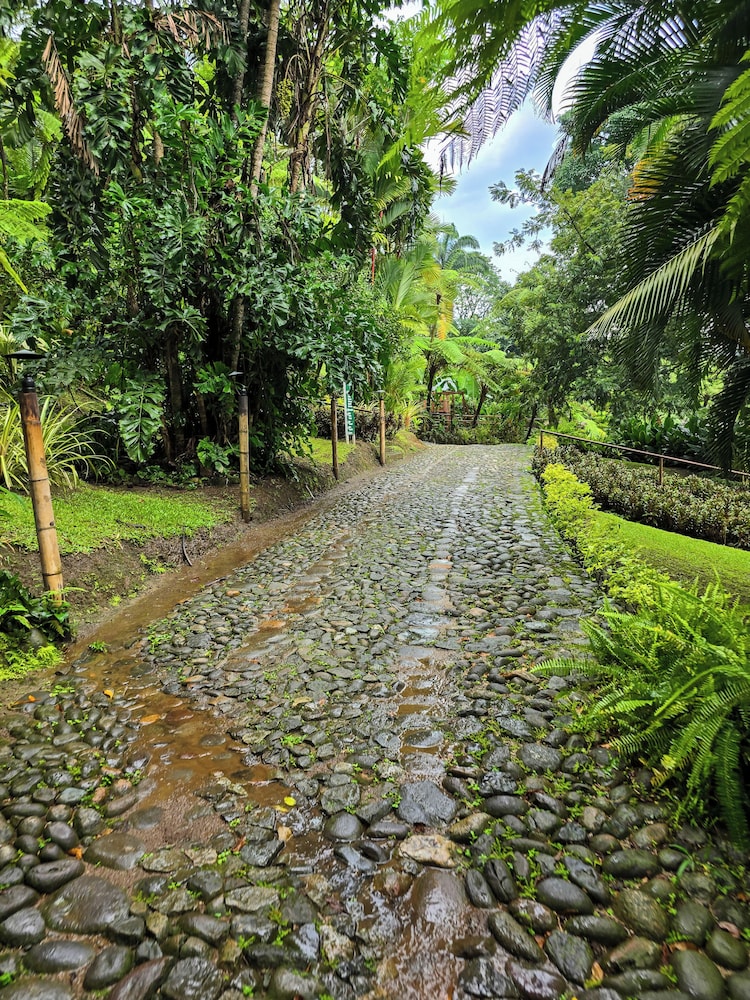 Argovia Finca Resort 70/73