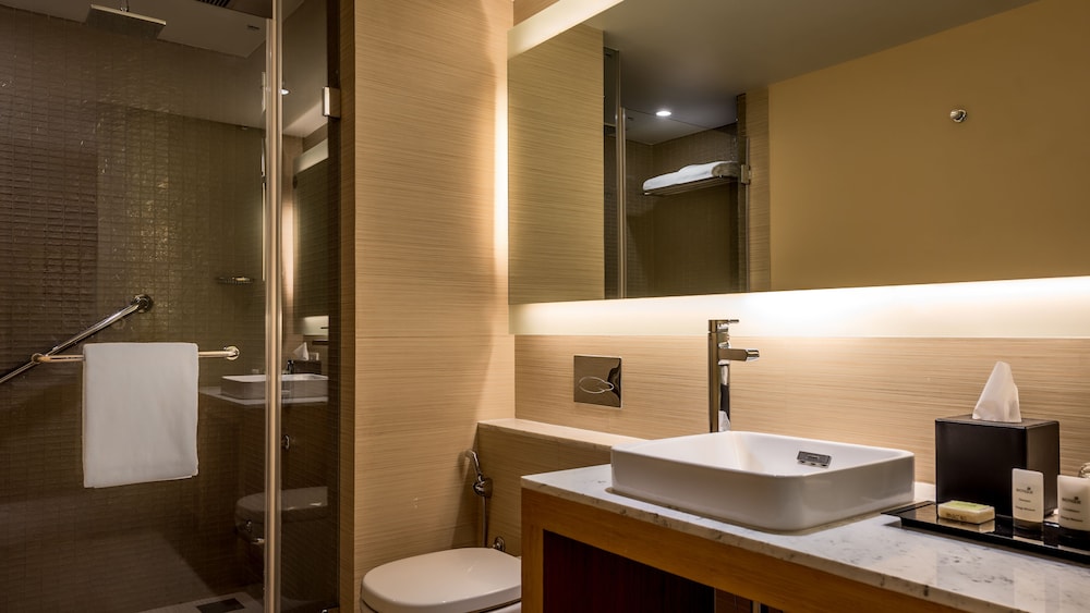 HYATT PLACE PUNE/HINJAWADI 47/50
