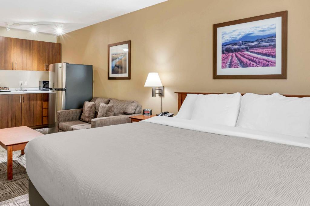 Upgrade, Efficiency, King Bed