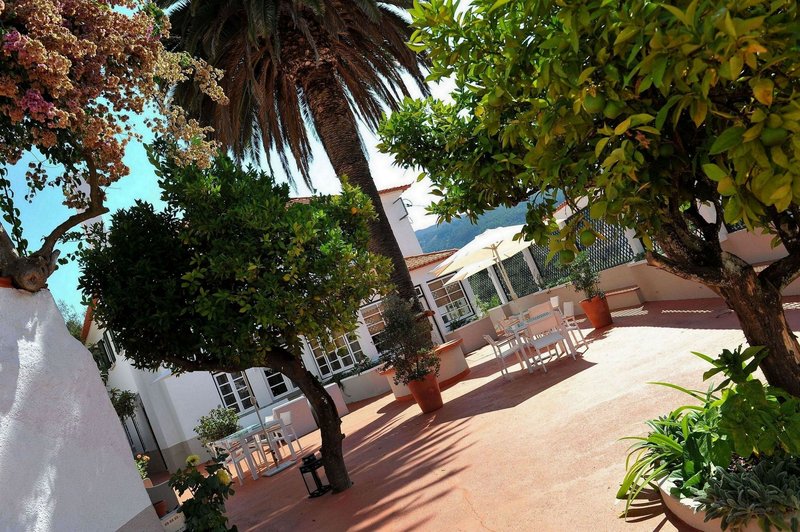 Quinta Da Palmeira Country House Retreat 43/45
