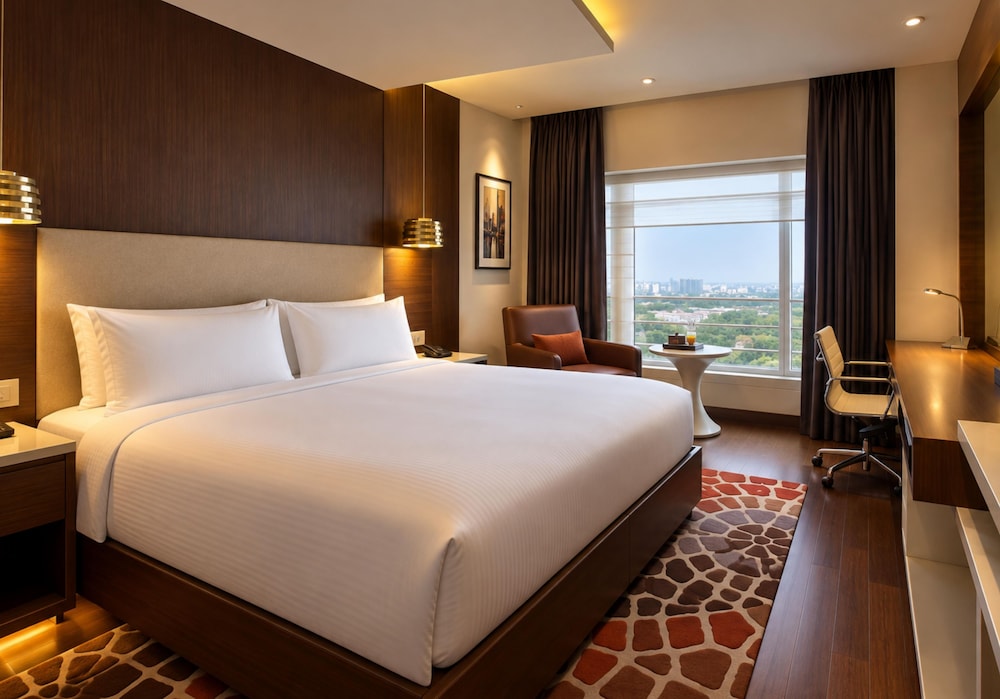 Park Plaza Delhi CBD Shahdara 25/72