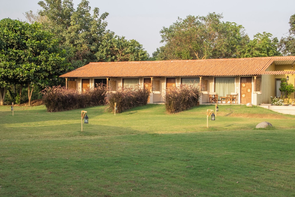 Asiatic Lion Lodge 35/50