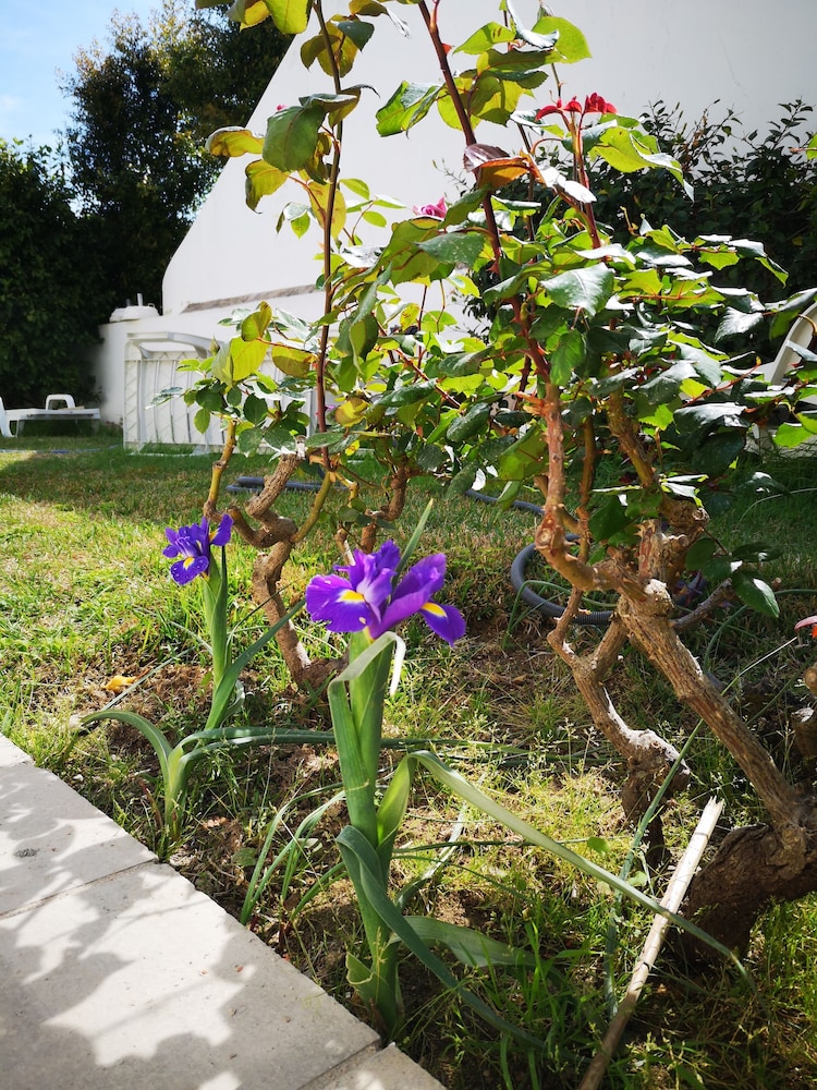 Sensations Guesthouse 43/50