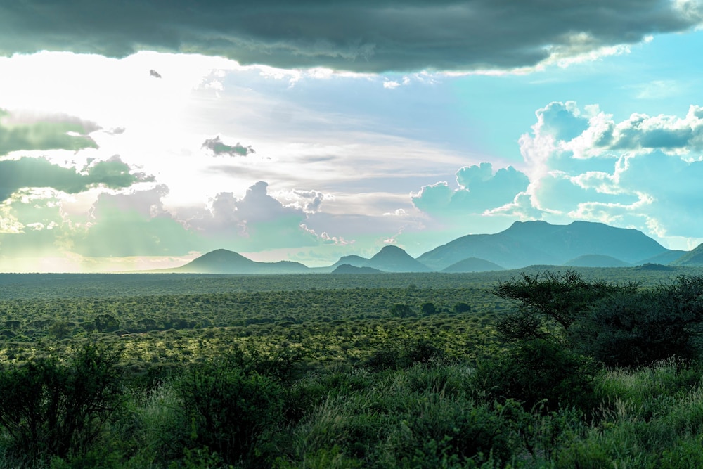 Samburu Intrepids Tented Camp 43/49