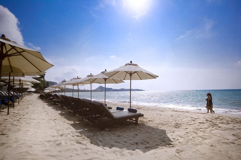 THAI HOUSE BEACH RESORT 59/75