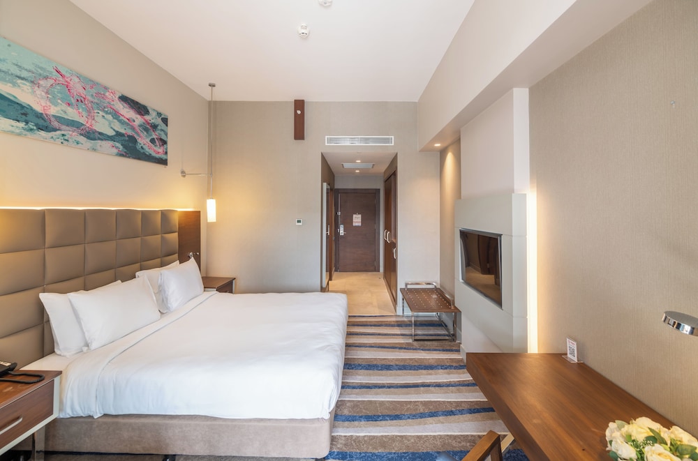 Doubletree By Hilton Eskisehir Turkey 13/51