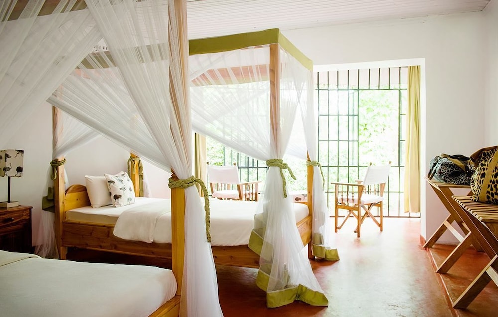 Ilboru Safari Lodge 22/50