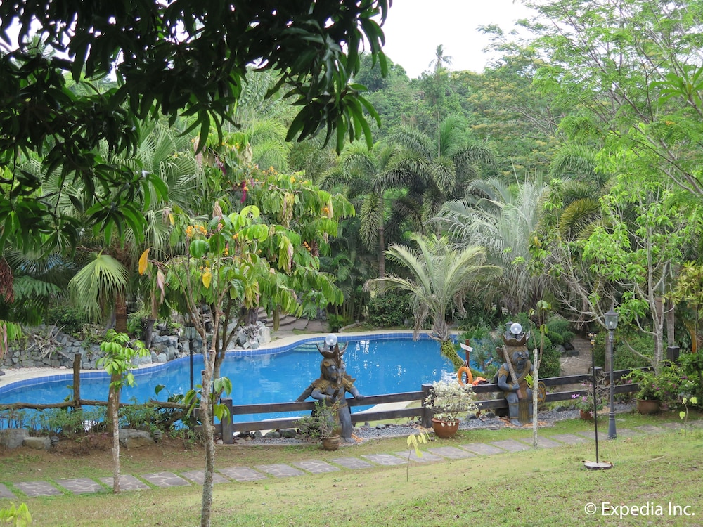 Cintai Corito S Garden 22/30