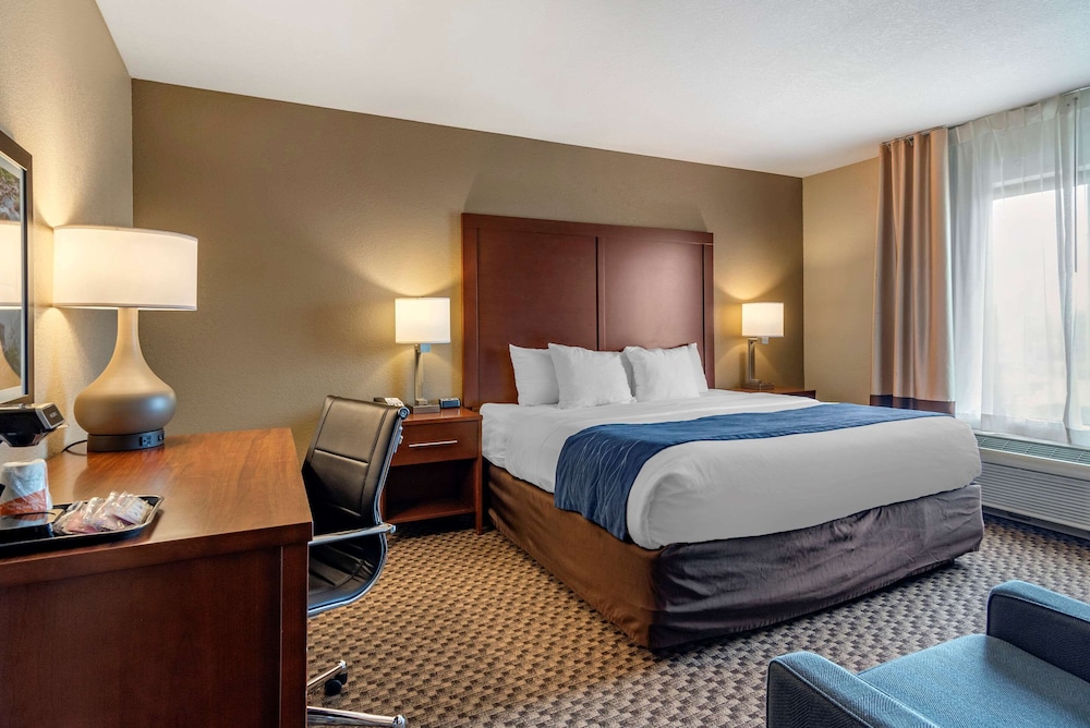 Comfort Inn and Suites Blue Ridge Ga 18/42
