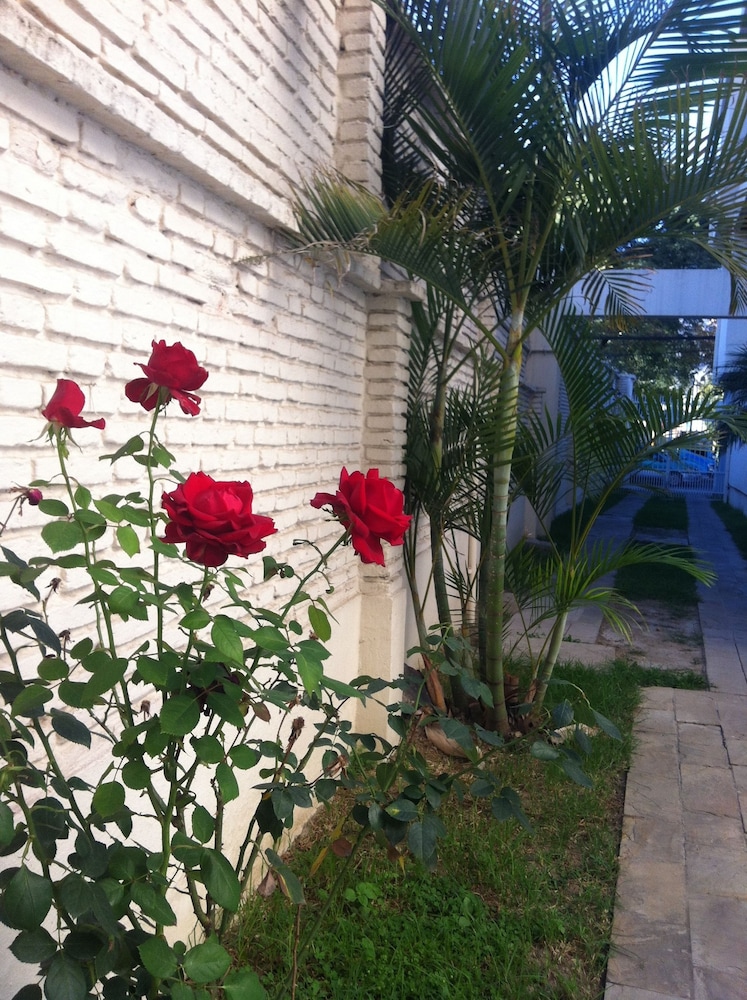 El Prado Hotel 36/36