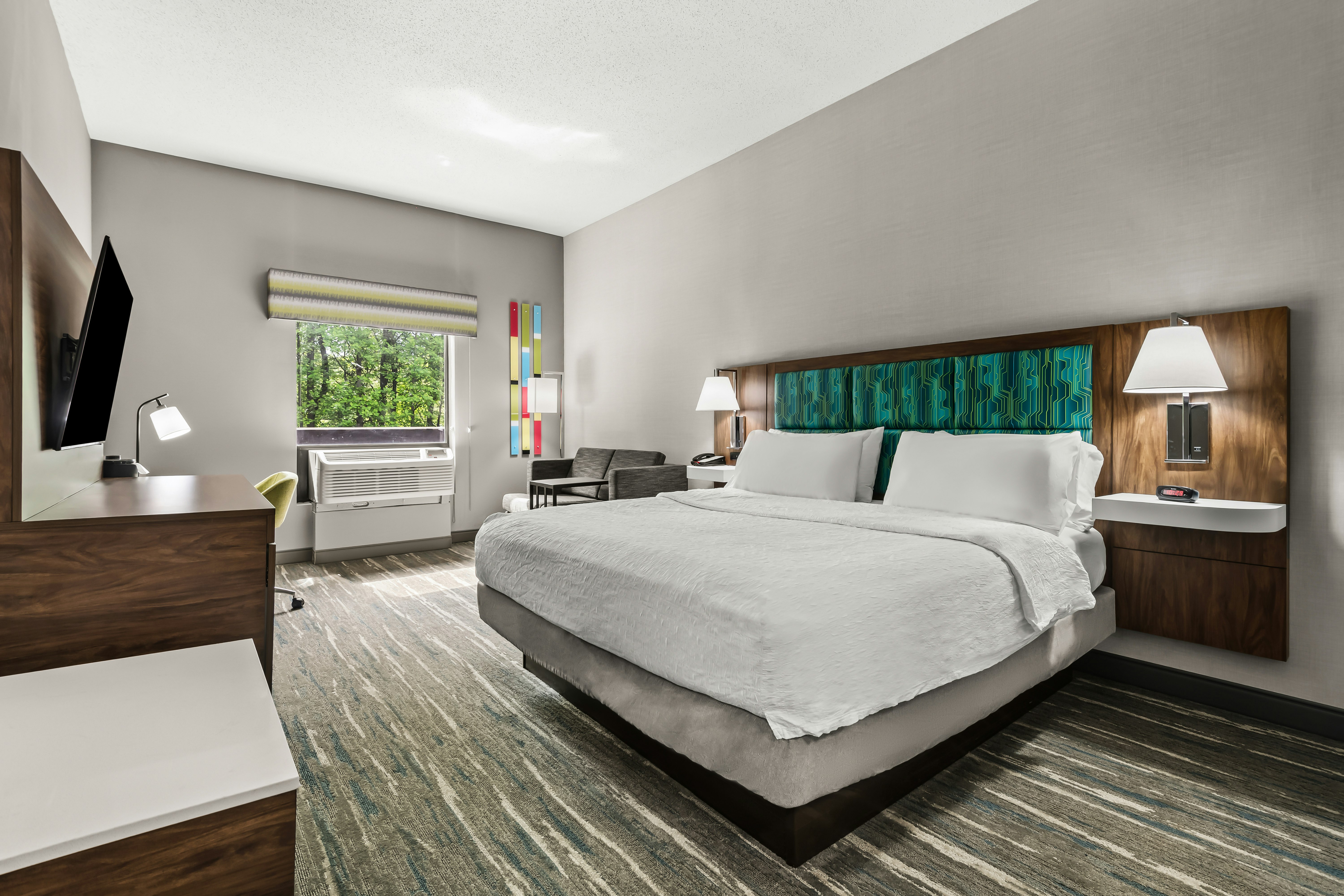 Room, King Bed