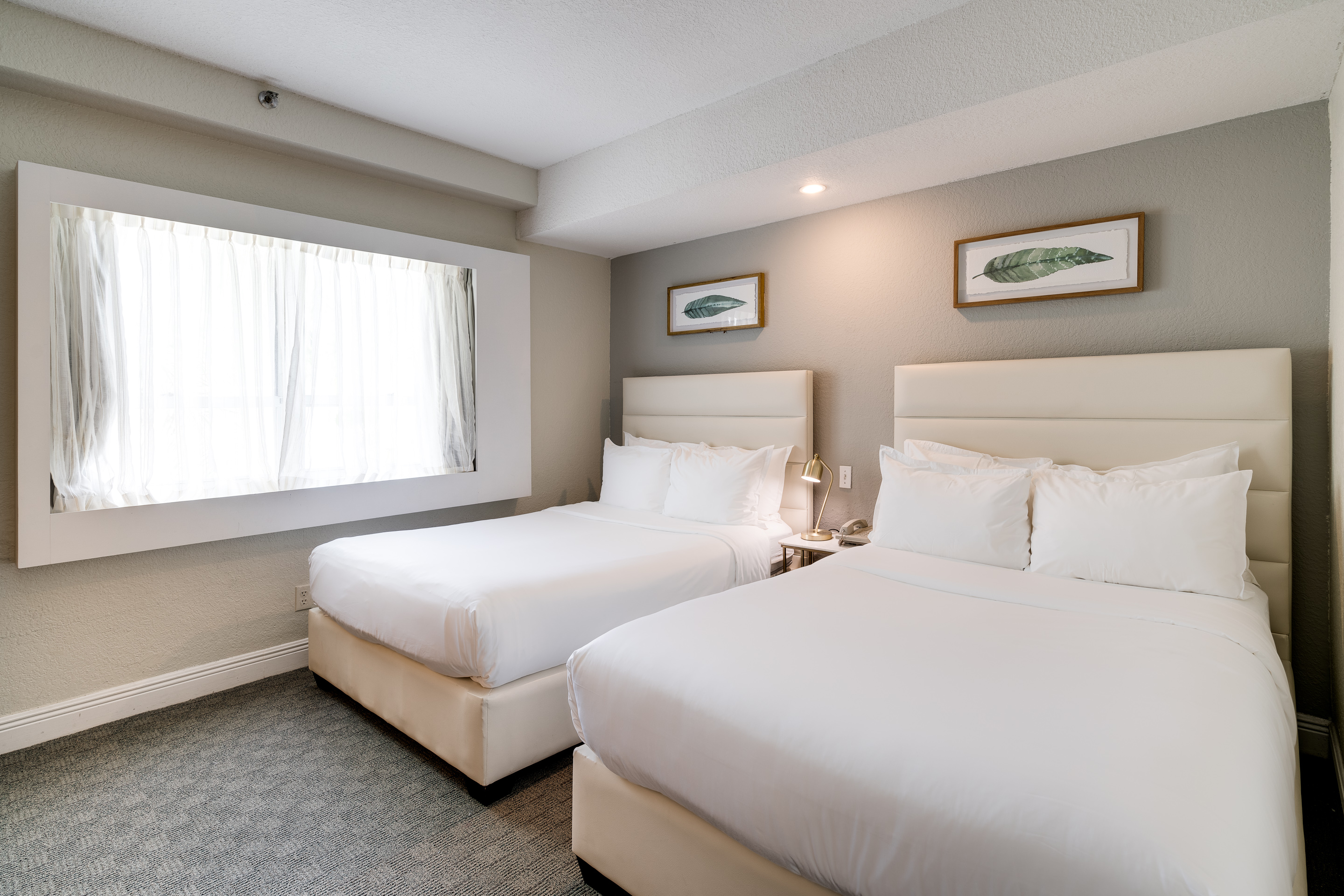 Studio, Double Bed