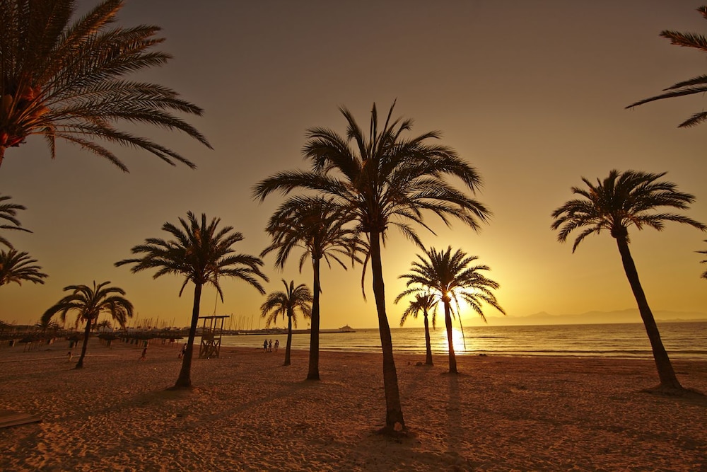 Caribbean Bay Hotel 26/32