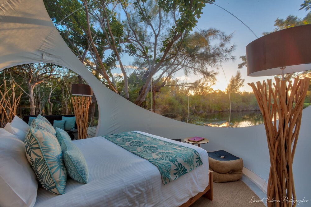 バブル ロッジ イル・オ・セルフ 写真3