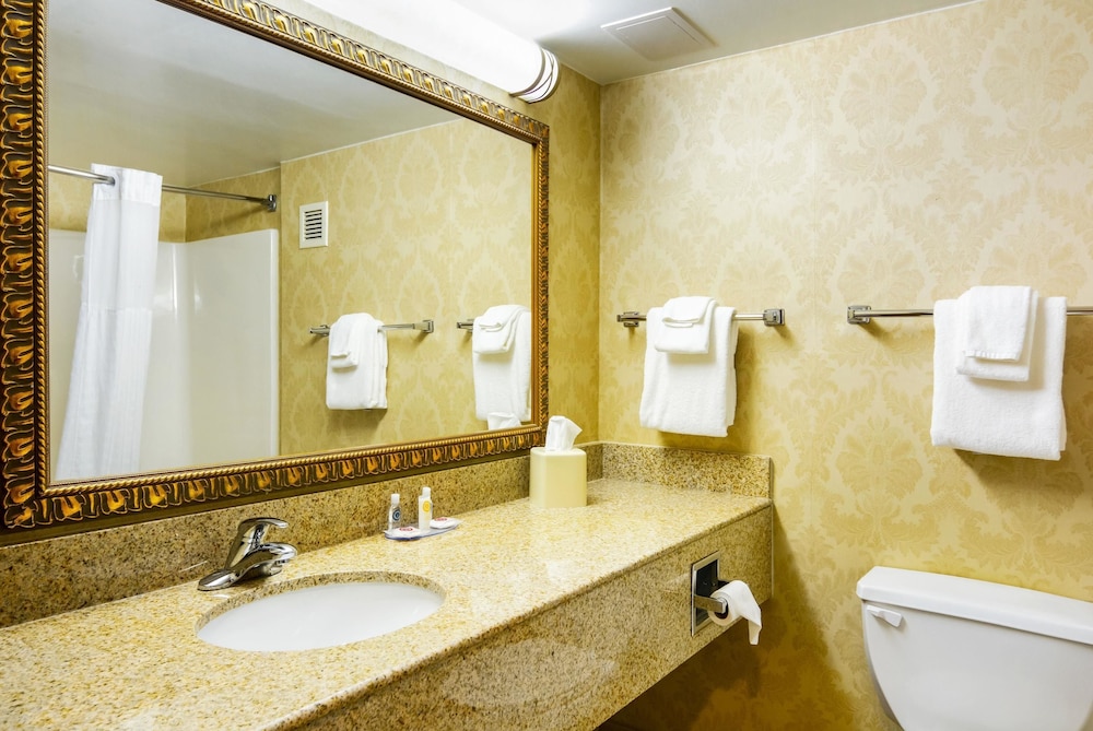 Comfort Inn Woodstock Shenandoah 8/39