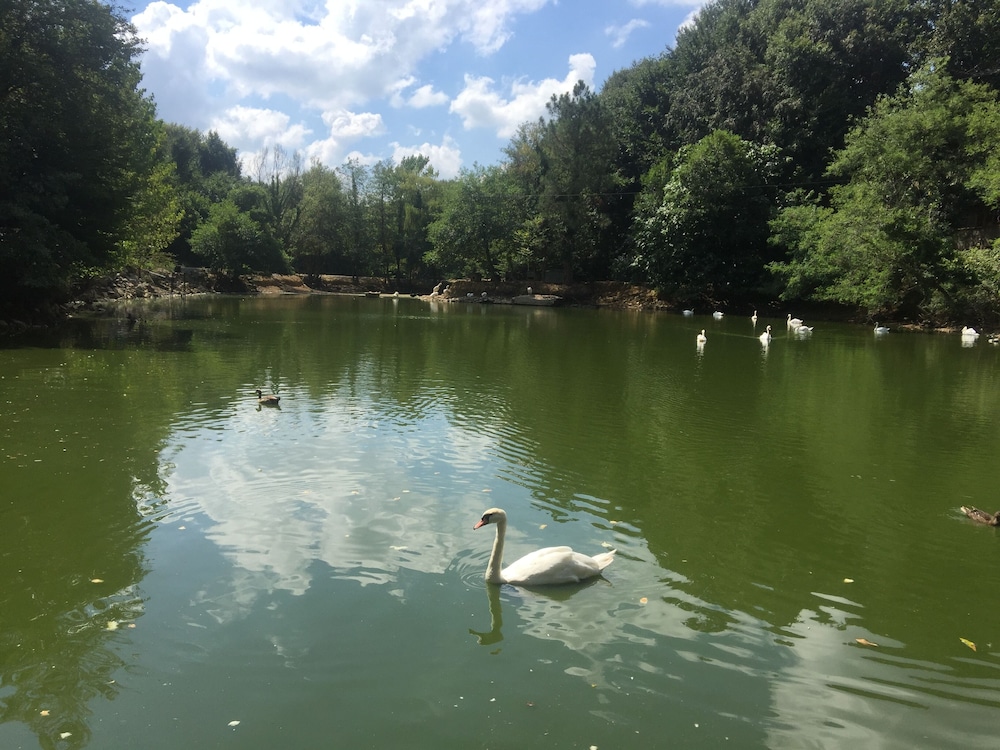 Polonezkoy Country Club 46/50