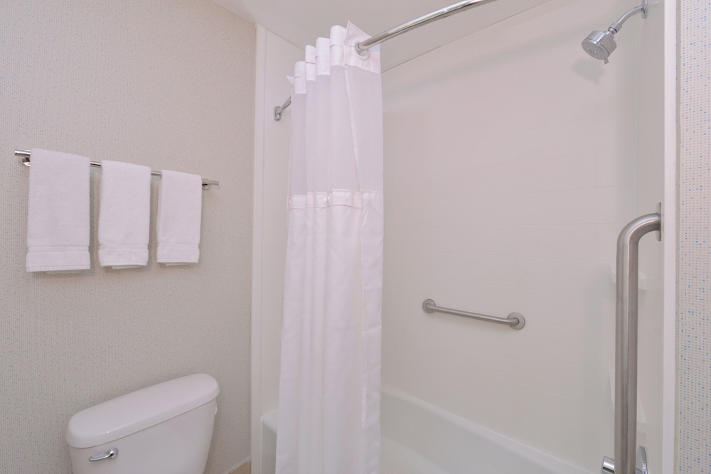 Holiday Inn Express Hotel And Suites Abilene Mall South 73/75