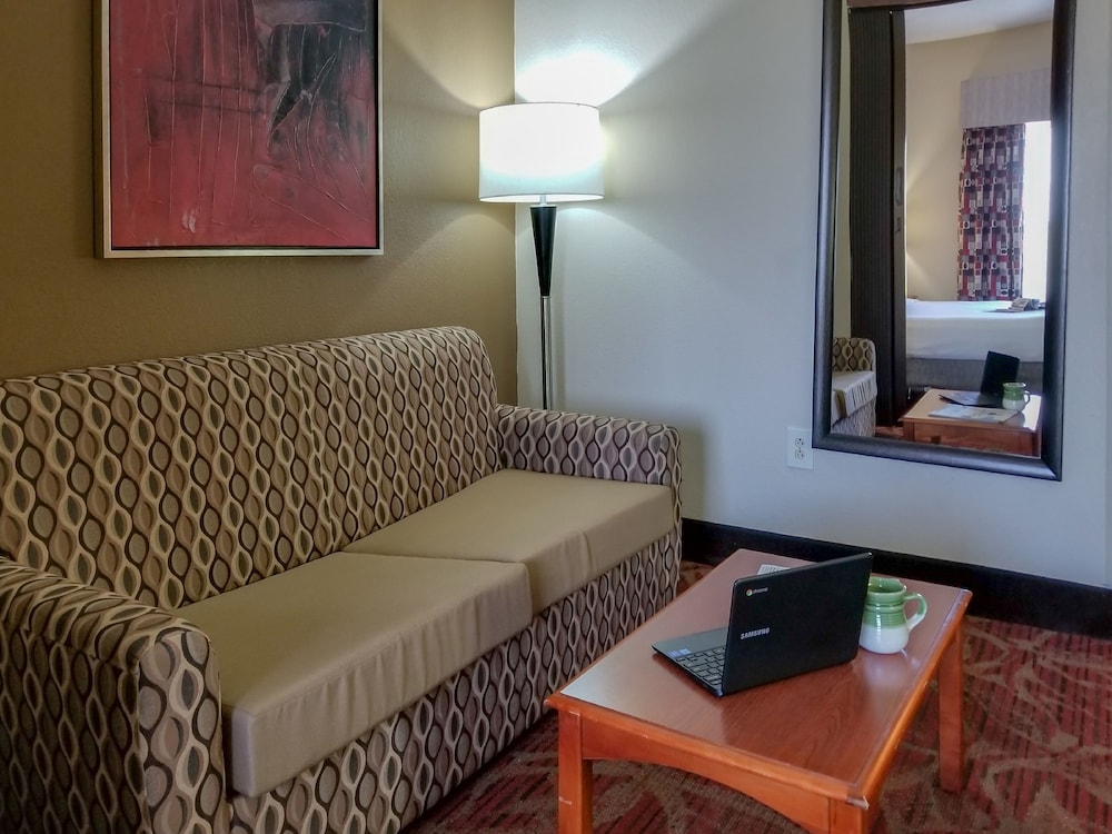 Holiday Inn Express Hotel And Suites Orange City 42/63