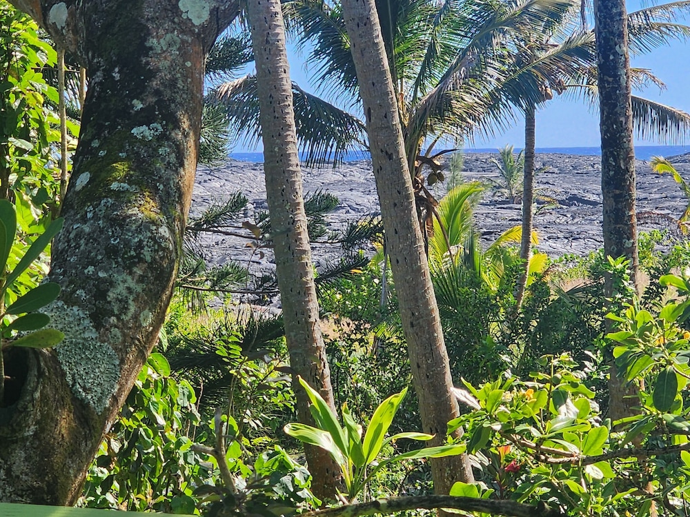 Ma'ukele Lodge 38/50