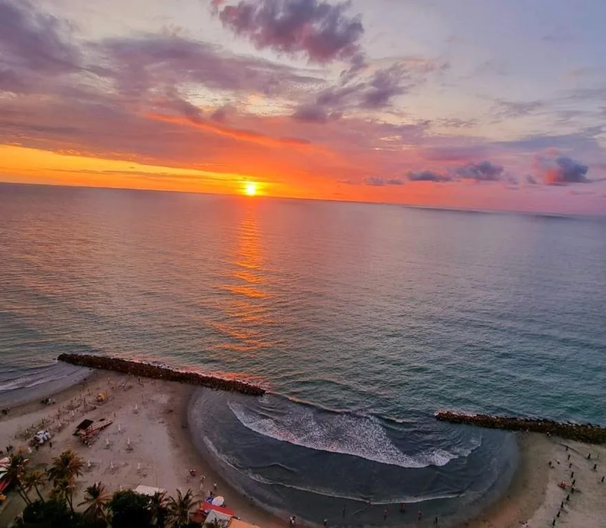 Apartamentos Palmetto - Frente al Mar - Bestbooking 39/50